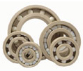 PEEK Bearings