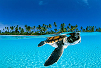 underwater_dome